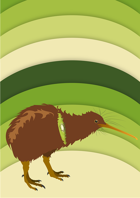 kiwi pajaro